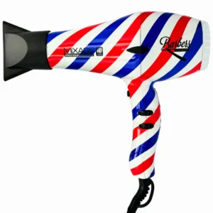 Professional 2000W Hair Dryer with Dual Fan Speeds and Temperature Settings